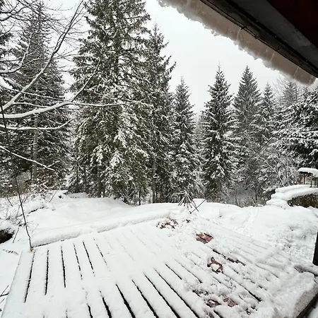 Chalet ~chalet_rifugio Tra I Boschi~ *